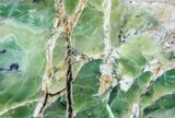 Polished Green-White Opal Slab - Western Australia #65403-2